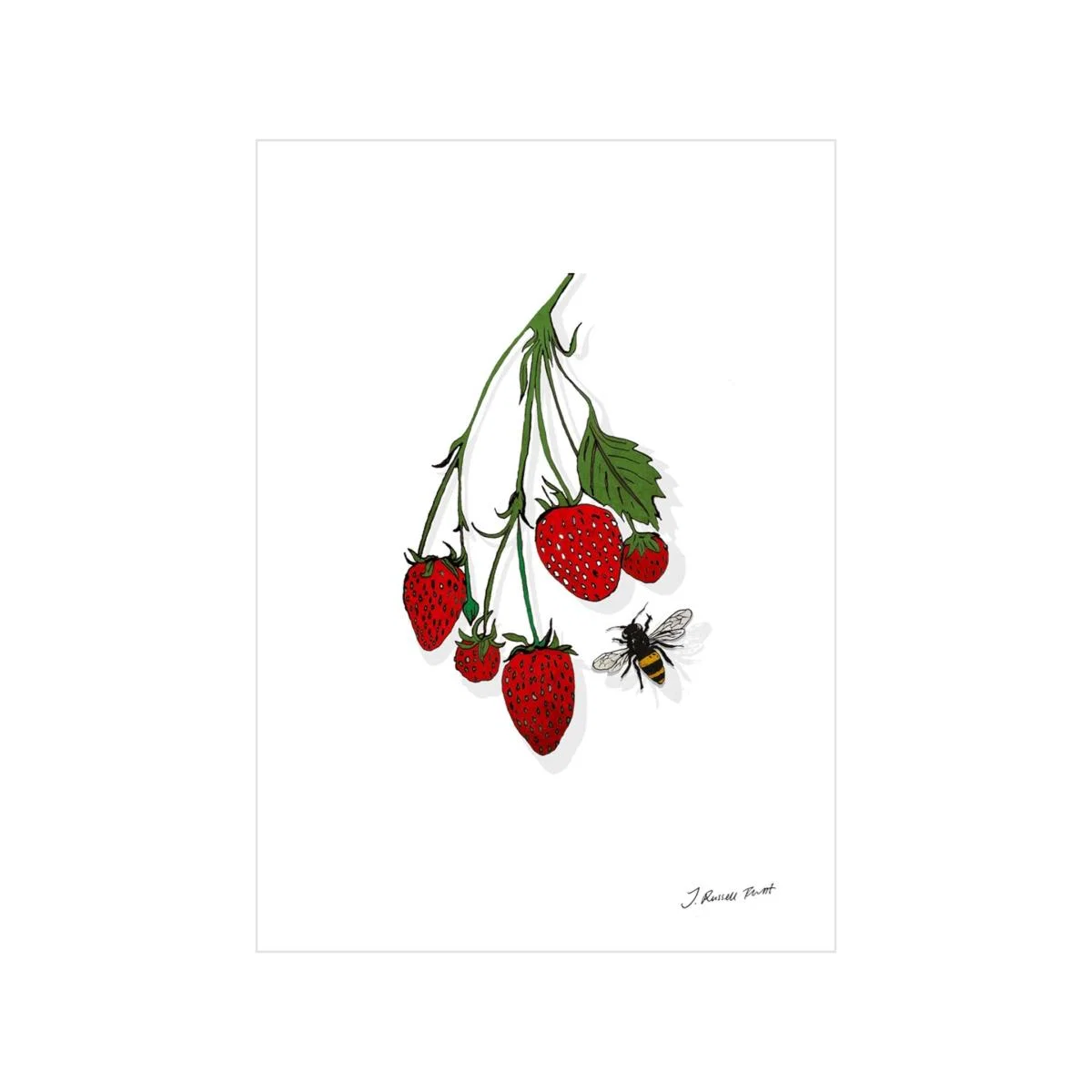The Strawberry Vine Signed Print A4 210 X 297Mm Jessica Russell Flint – image 2