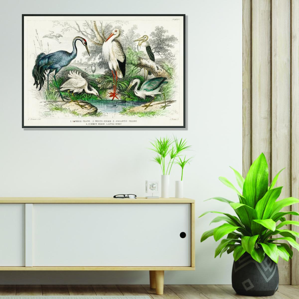 Grey Various Types Of Large Birds A2 420 X 594Mm Stanley Print House – image 3