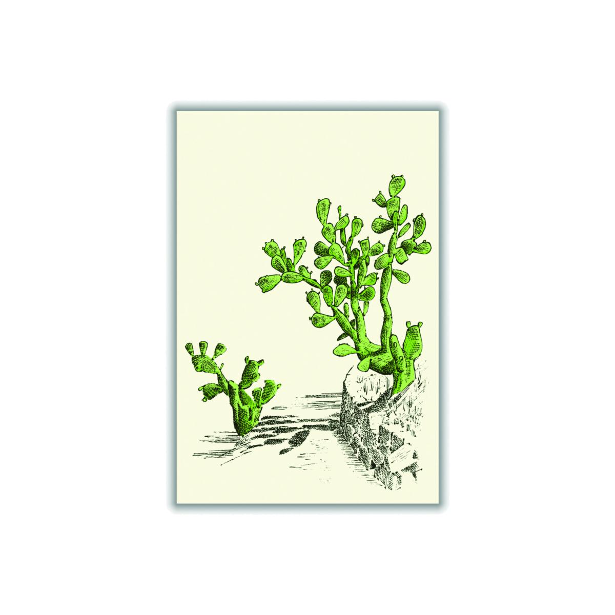 Green Prickly Pear Cactus A3 297 X 420Mm Stanley Print House – image 1