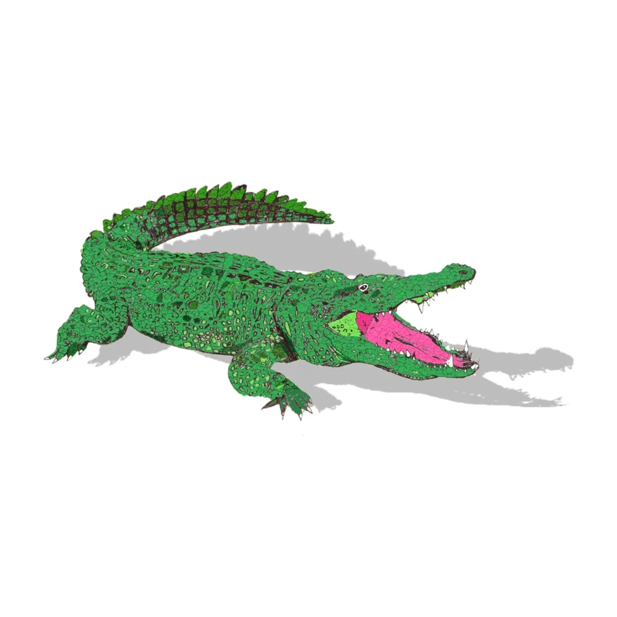 The Crocodile Signed Print Jessica Russell Flint – image 1