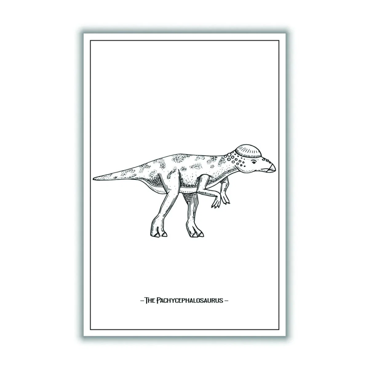 Black The Pachycephalosaurus A4 210 X 297Mm Stanley Print House – image 3