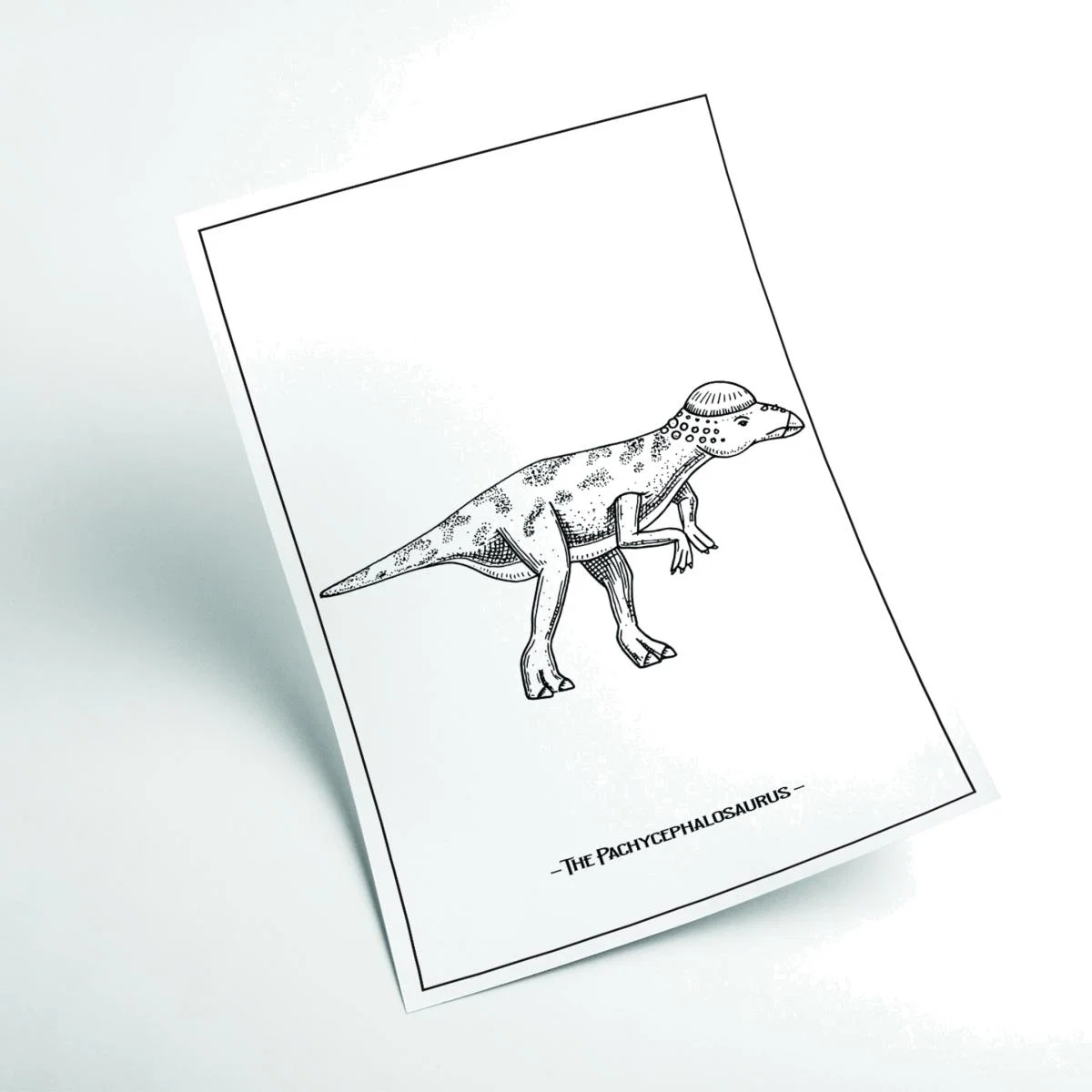 Black The Pachycephalosaurus A4 210 X 297Mm Stanley Print House – image 1