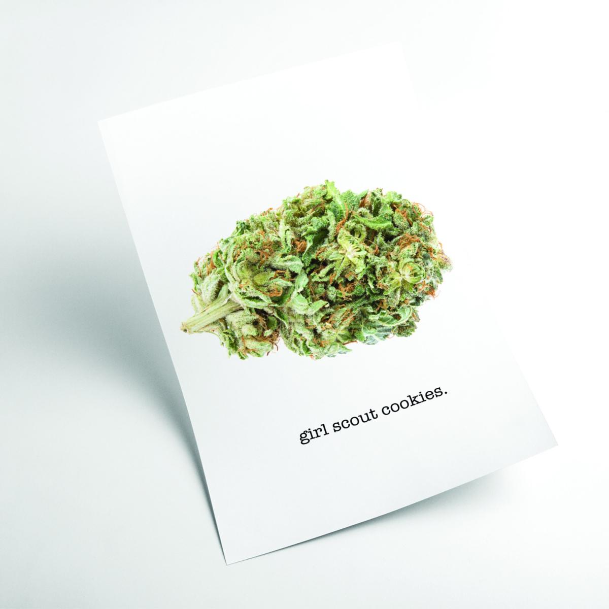 Green Girl Scout Cookies Bud Name A3 297 X 420Mm Stanley Print House – image 2