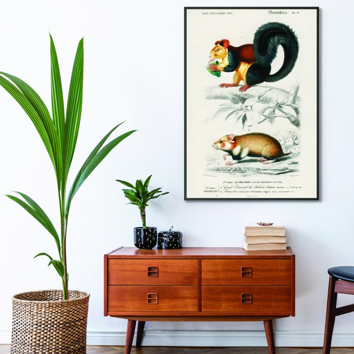 Squirrel And Hamster A3 297 X 420Mm Stanley Print House – image 3
