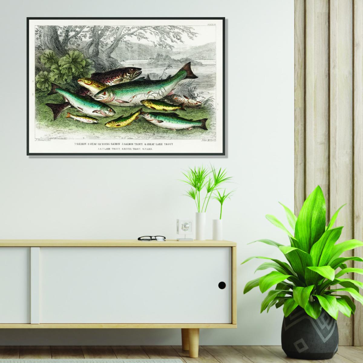 Various Fish Xxs Stanley Print House – image 3