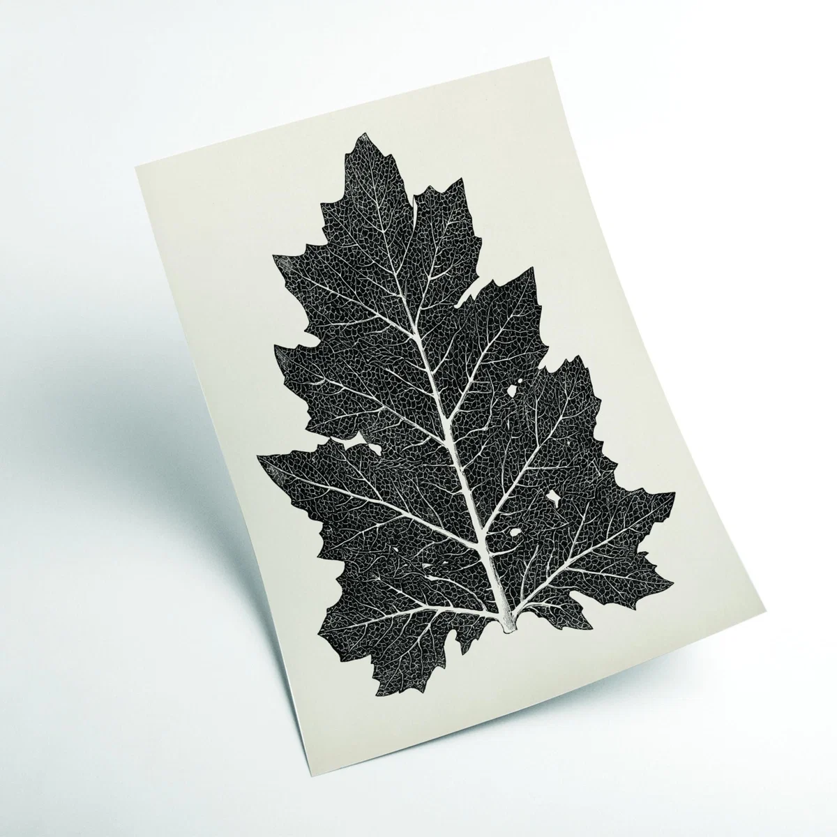 Black Vintage Leaf Xxs Stanley Print House – image 2