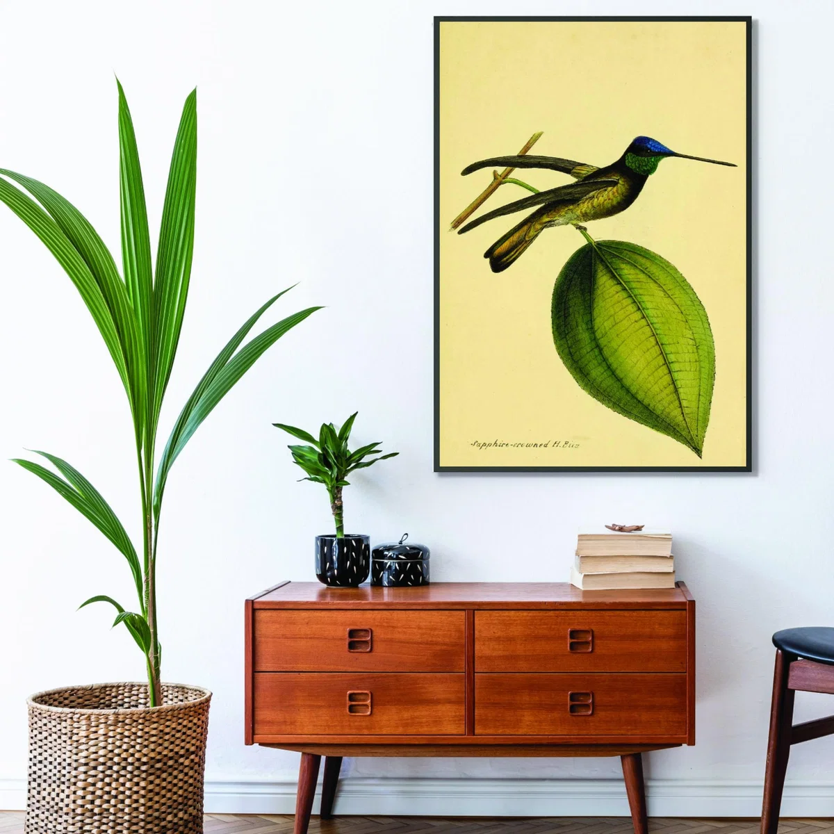 Green Crowned Humming Bird A1 594 X 841Mm Stanley Print House – image 3