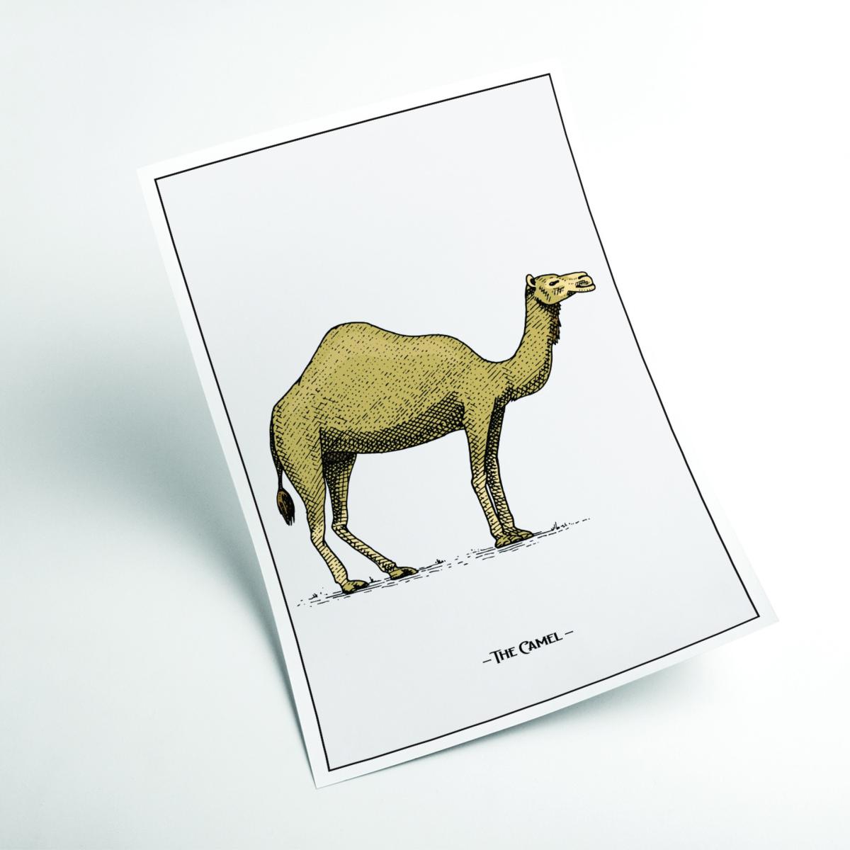 Brown The Camel A2 420 X 594Mm Stanley Print House – image 2