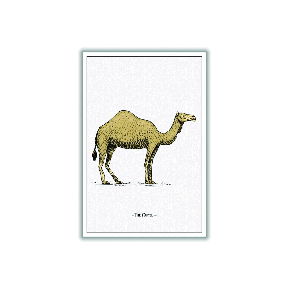 Brown The Camel A2 420 X 594Mm Stanley Print House – image 1