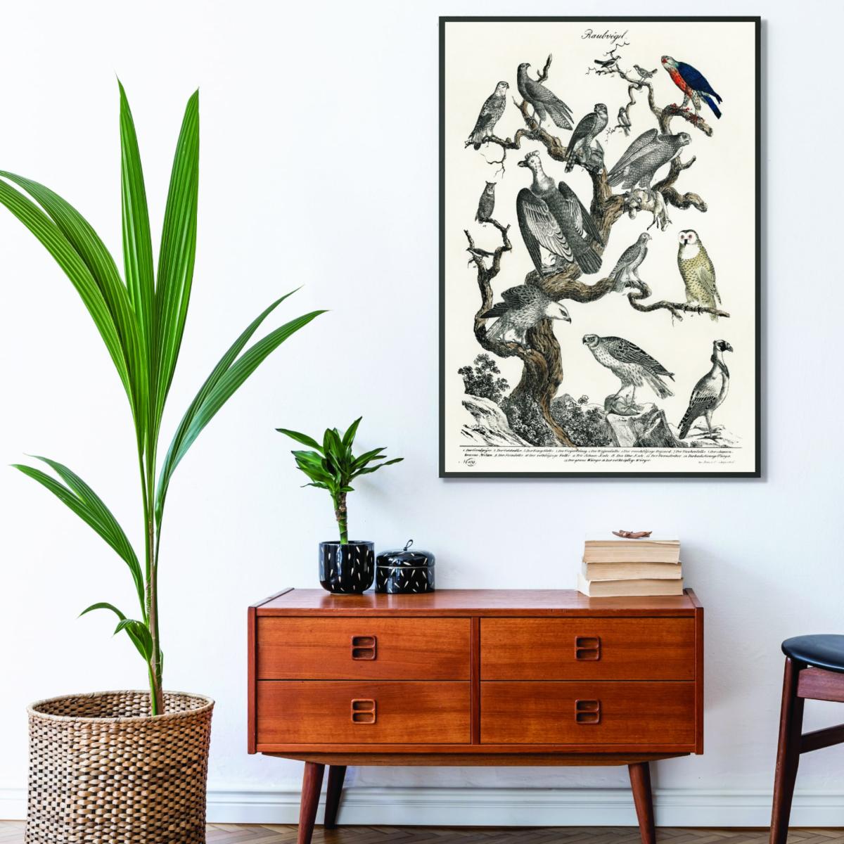 Grey Birds Of Prey A1 594 X 841Mm Stanley Print House – image 3