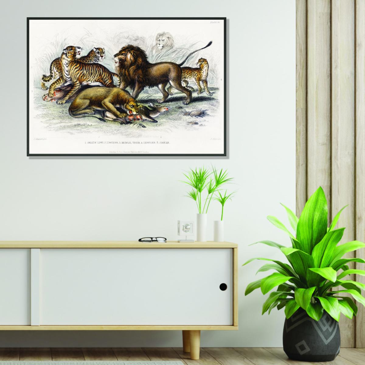 Yellow / Orange Asiatic Lion, Lioness, Bengal Tiger, Leopard, And Jaguar A2 420 X 594Mm Stanley Print House – image 3