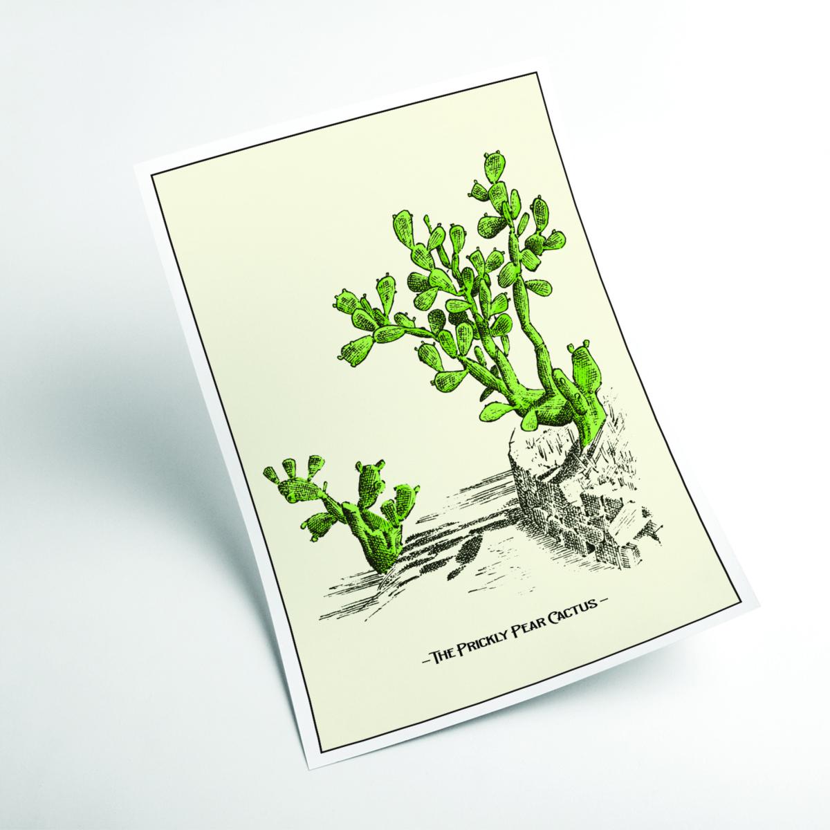 Green The Prickly Pear Cactus A3 297 X 420Mm Stanley Print House – image 2
