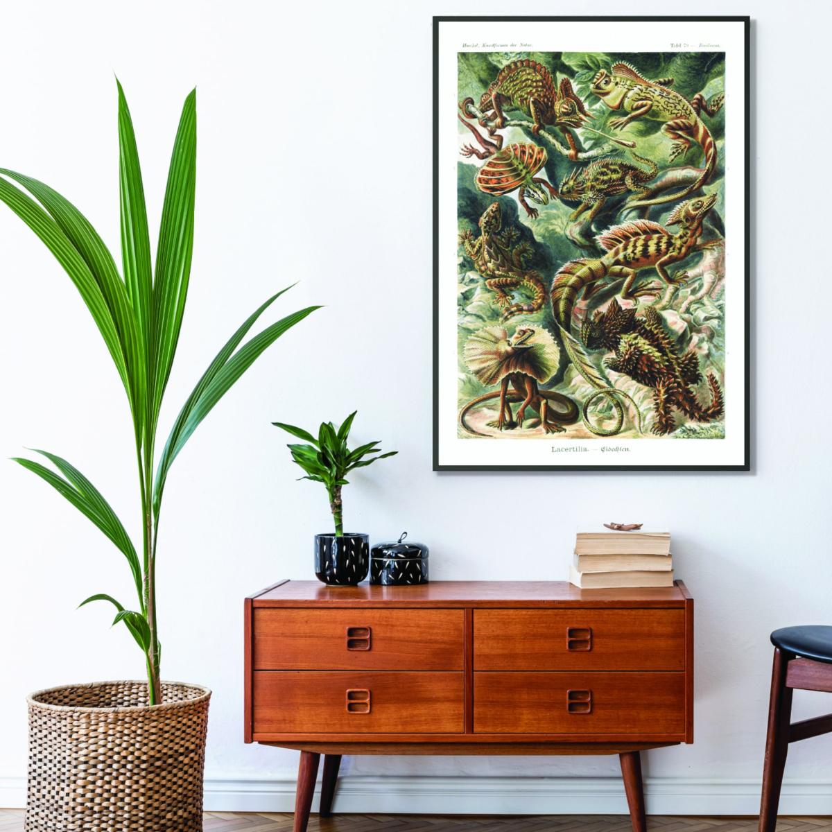 Green Lacertilia-Eidechlen By Ernst Haeckel A3 297 X 420Mm Stanley Print House – image 3