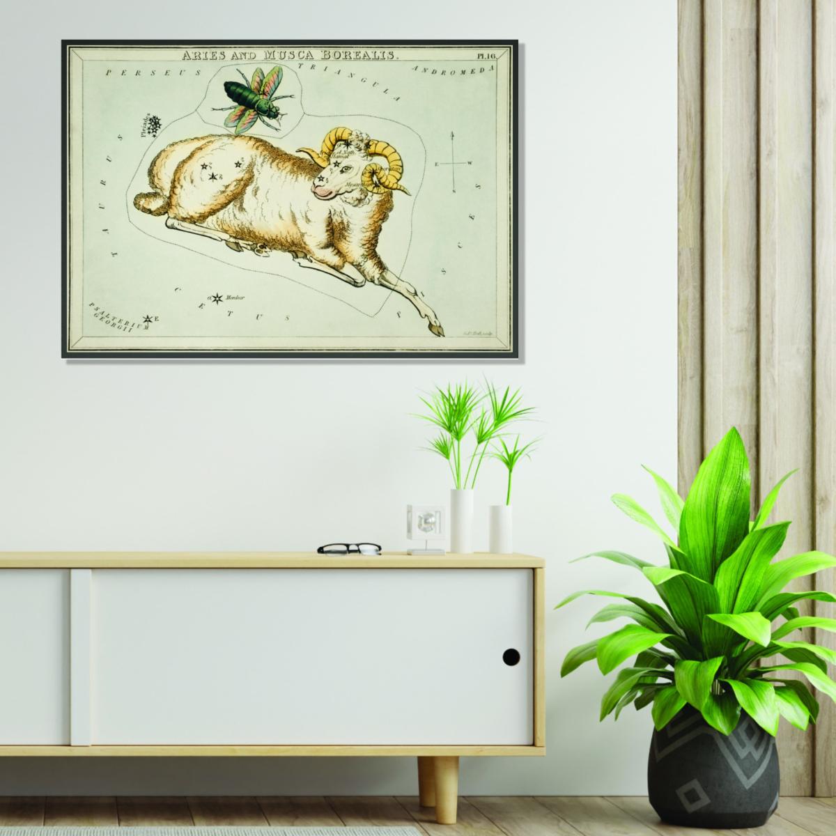 Yellow / Orange Astronomical Chart Illustration Of Aries And Musca Borealis Small Stanley Print House – image 3