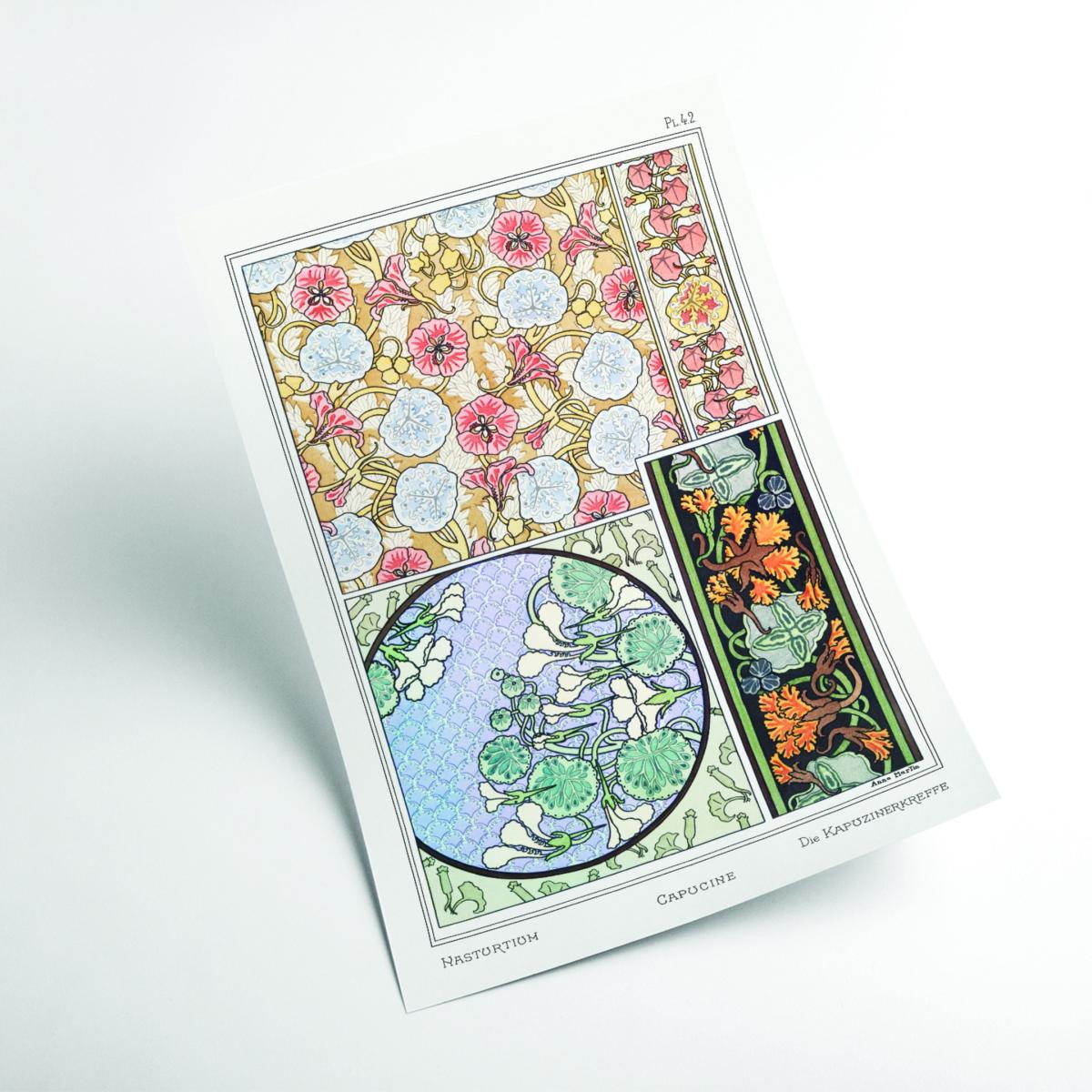 Vintage Botanicals - Capucine Nasturtium Iiii Medium Stanley Print House – image 2