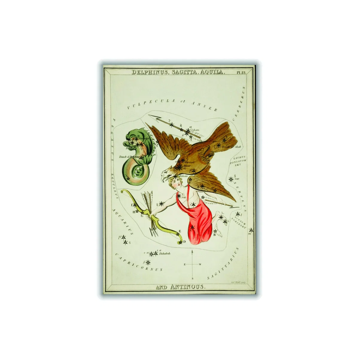Yellow / Orange Astronomical Chart Illustration Of The Delphinus - Sagitta - Aquila A1 594 X 841Mm Stanley Print House – image 1