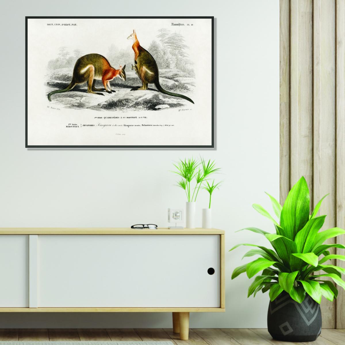 Yellow / Orange Macropus A2 420 X 594Mm Stanley Print House – image 3