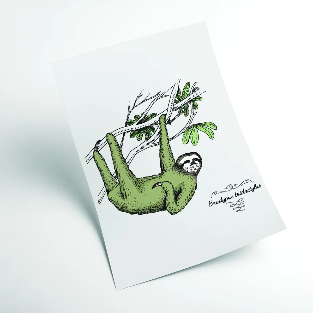 Green Sloth A2 420 X 594Mm Stanley Print House – image 2