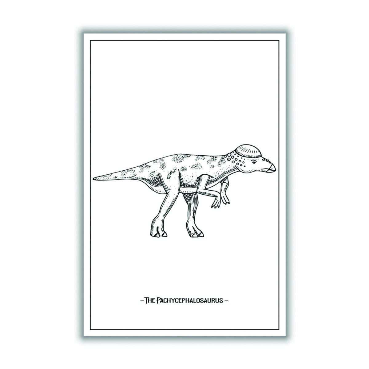 Black The Pachycephalosaurus A2 420 X 594Mm Stanley Print House – image 3