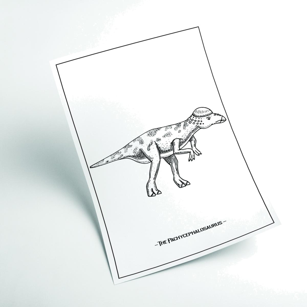 Black The Pachycephalosaurus A2 420 X 594Mm Stanley Print House – image 1
