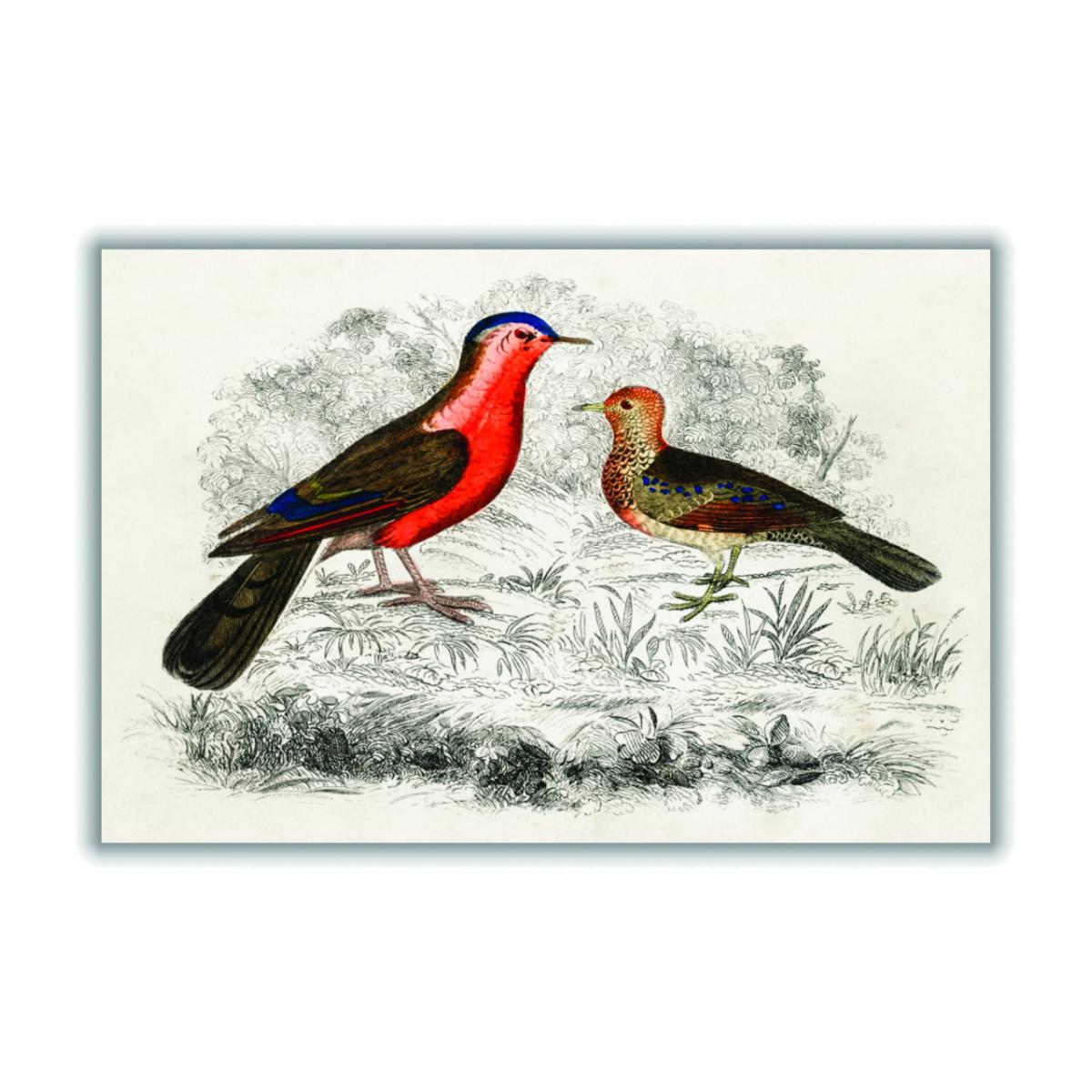 Yellow / Orange Hand Drawn Sketch Of Birds A1 594 X 841Mm Stanley Print House – image 1