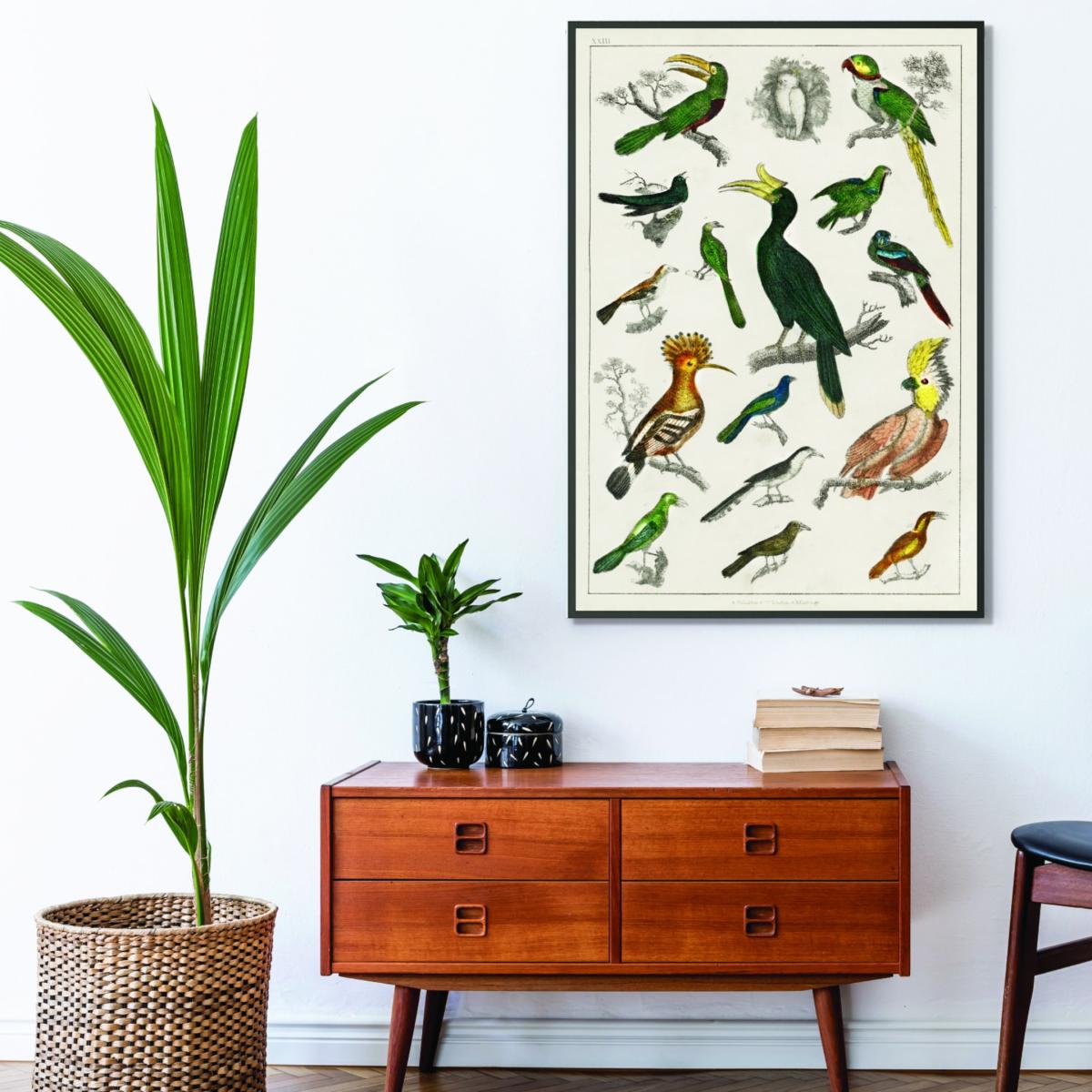 Brown Collection Of Birds Iiiii Print Large Stanley Print House – image 3