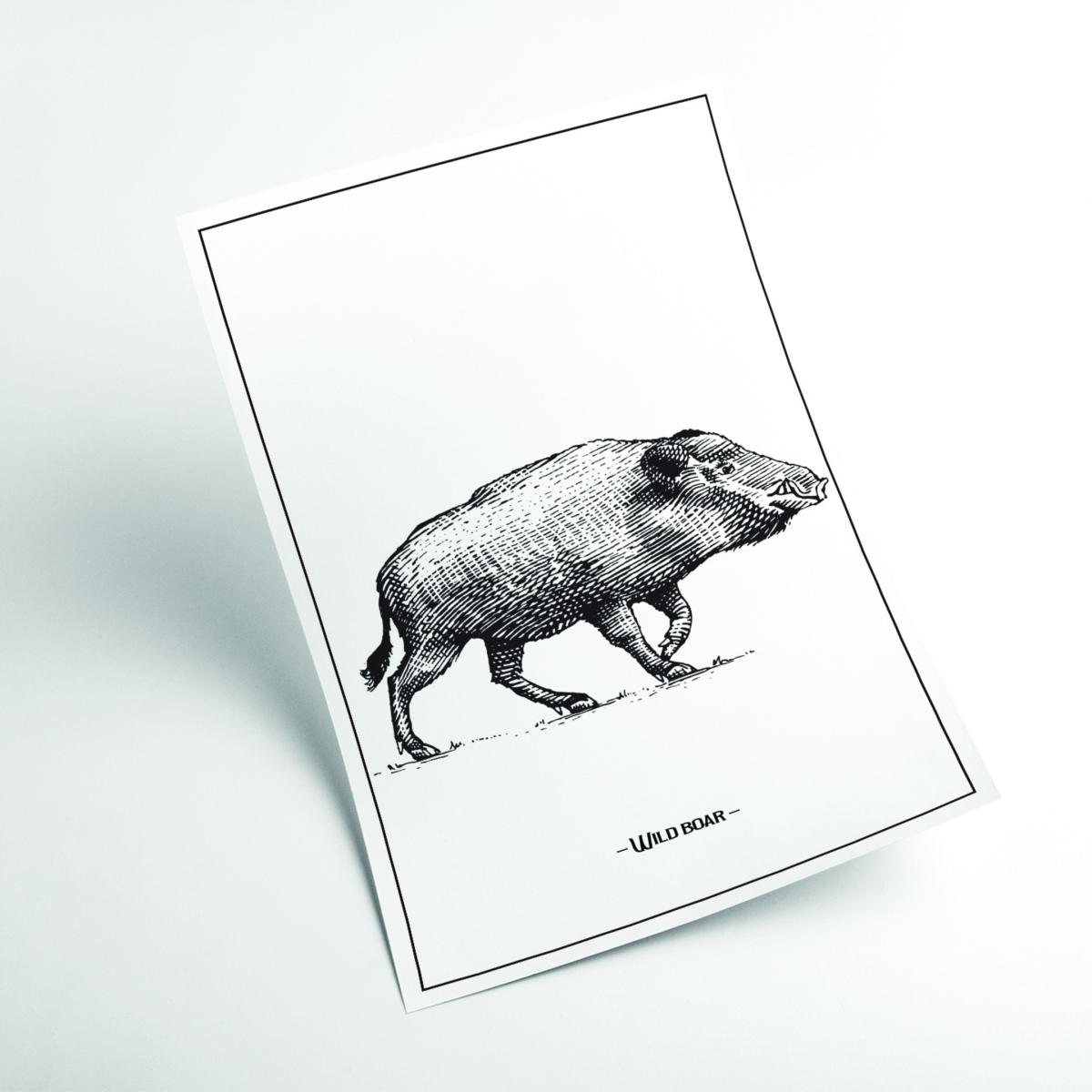 Grey Wild Boar A2 420 X 594Mm Stanley Print House – image 2