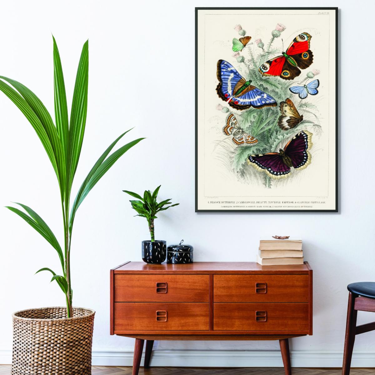 Various Butterflies A1 594 X 841Mm Stanley Print House – image 3