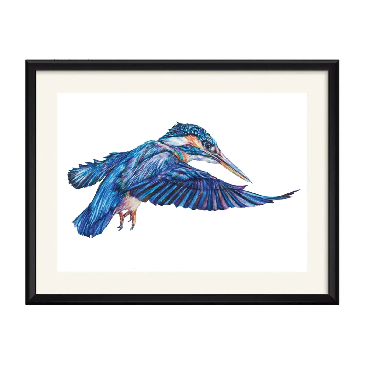 Kingfisher Art Print Claudine O'sullivan Illustration & Design