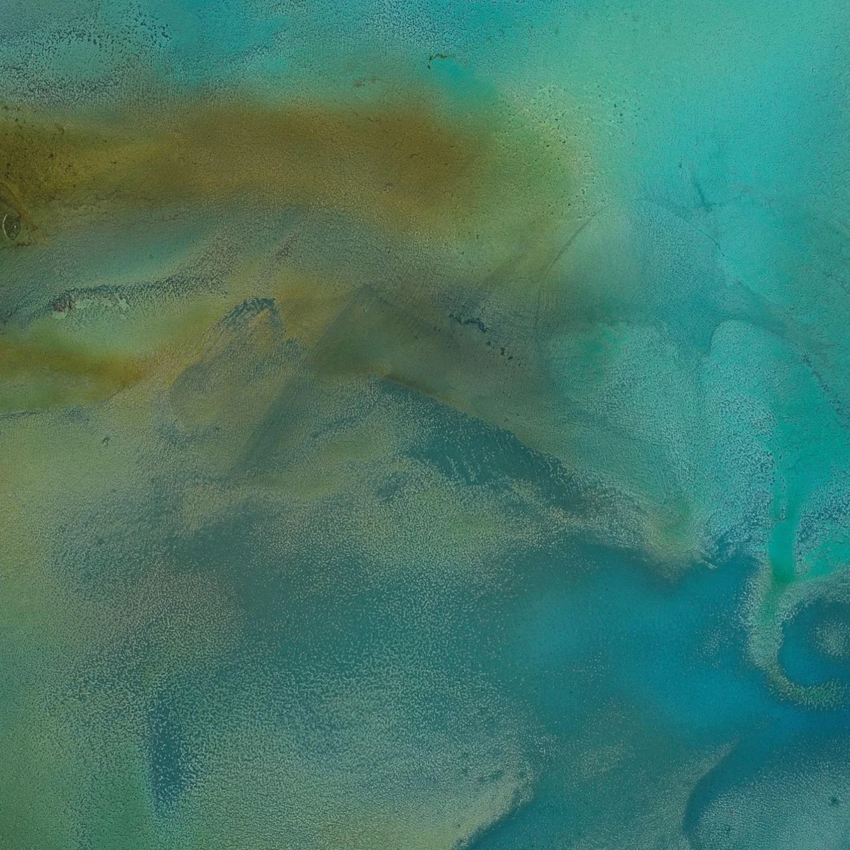 Green / Blue Entwine A3 Print A3 297 X 420Mm Art by Affie – image 4