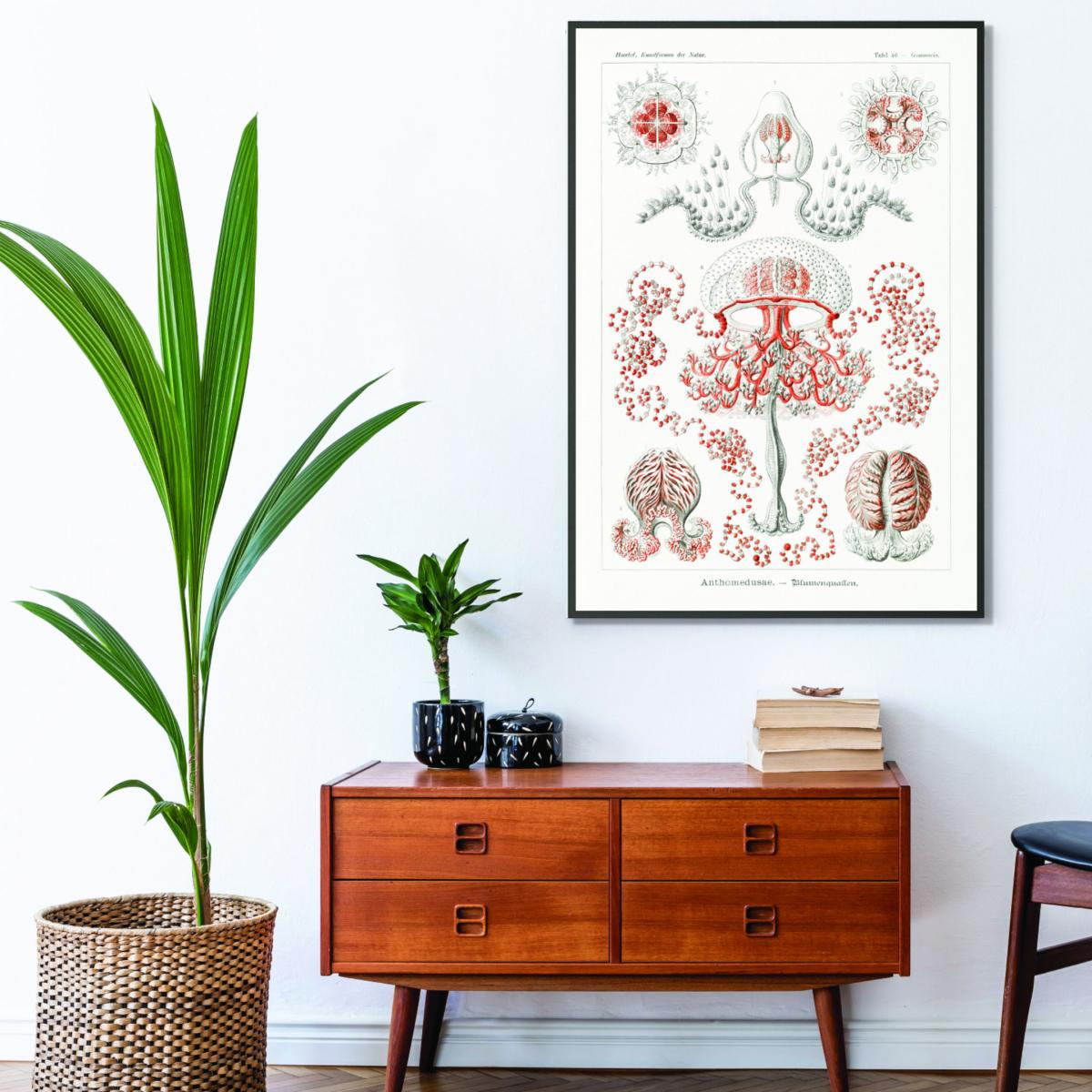 Rose Gold Anthomedusae-Blumenquallen By Ernst Haeckel A1 594 X 841Mm Stanley Print House – image 3