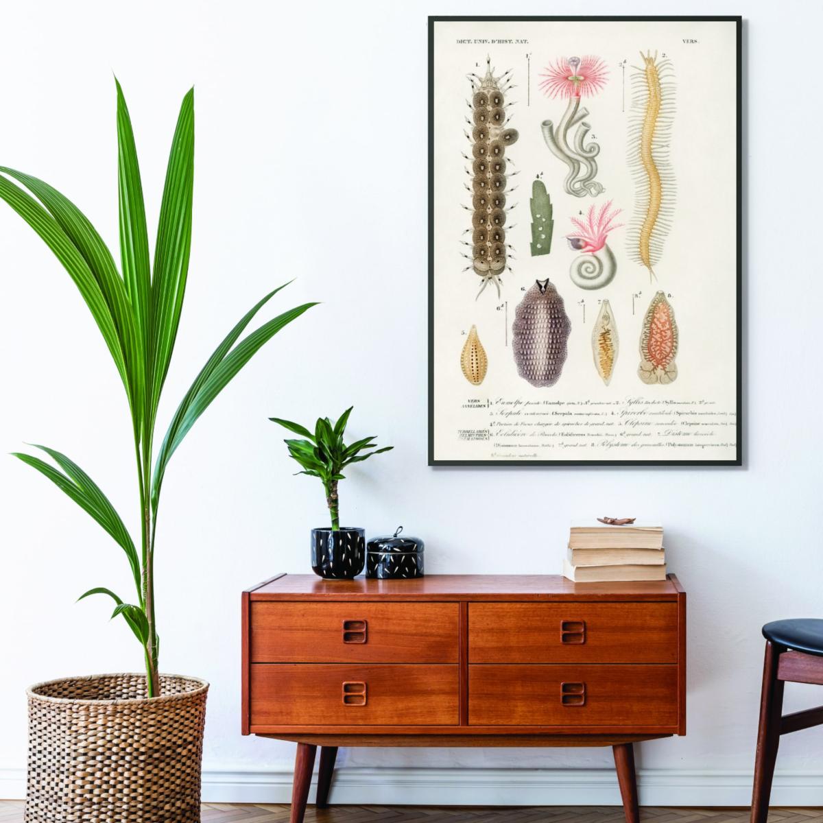 Yellow / Orange Natural History - Different Types Of Marine Life 1 Extra Small Stanley Print House – image 3