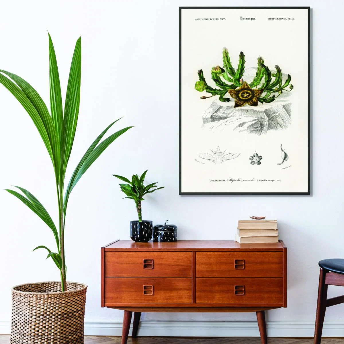 Green Carrion Flower Print Small Stanley Print House – image 3