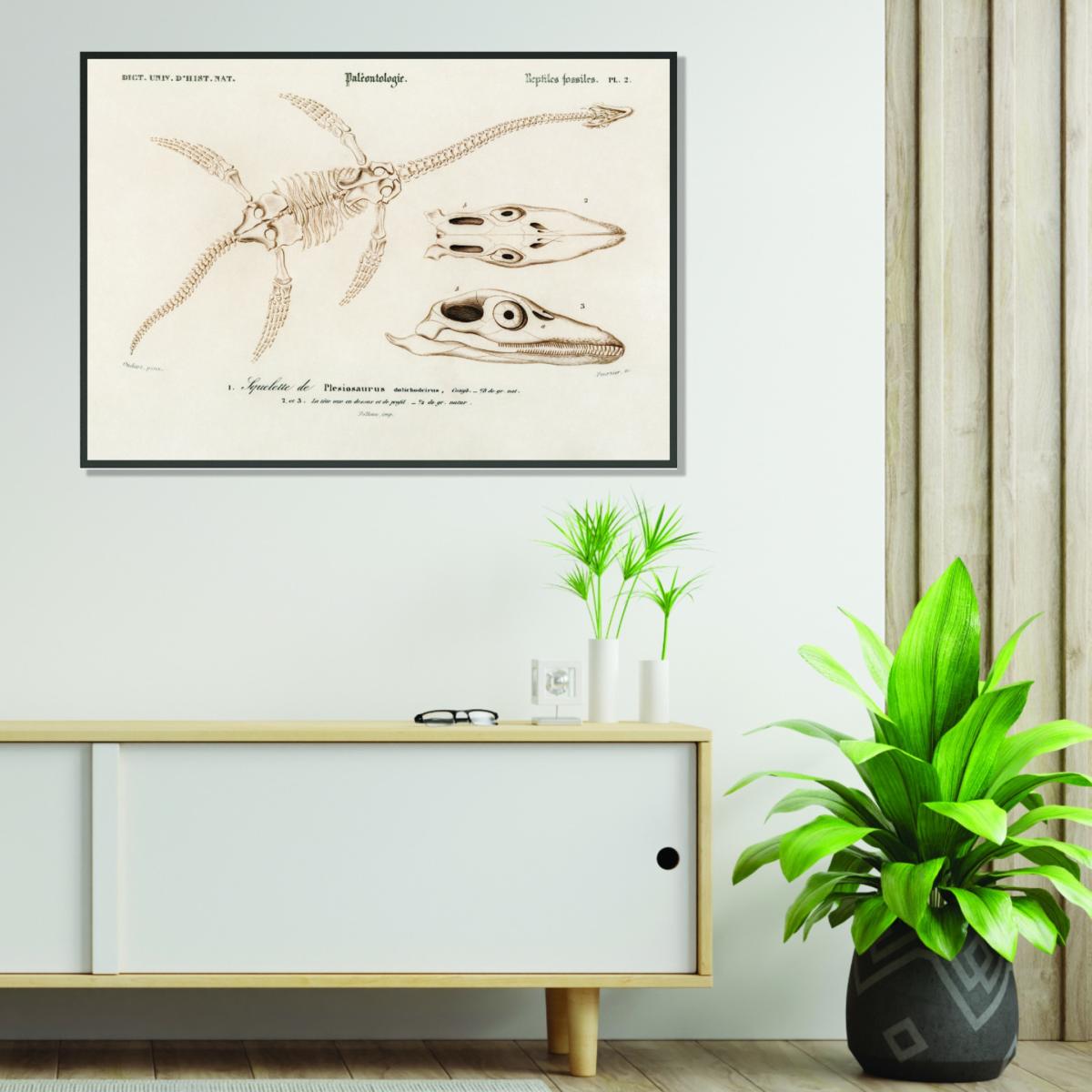 Gold Plesiosaurus Xxs Stanley Print House – image 3