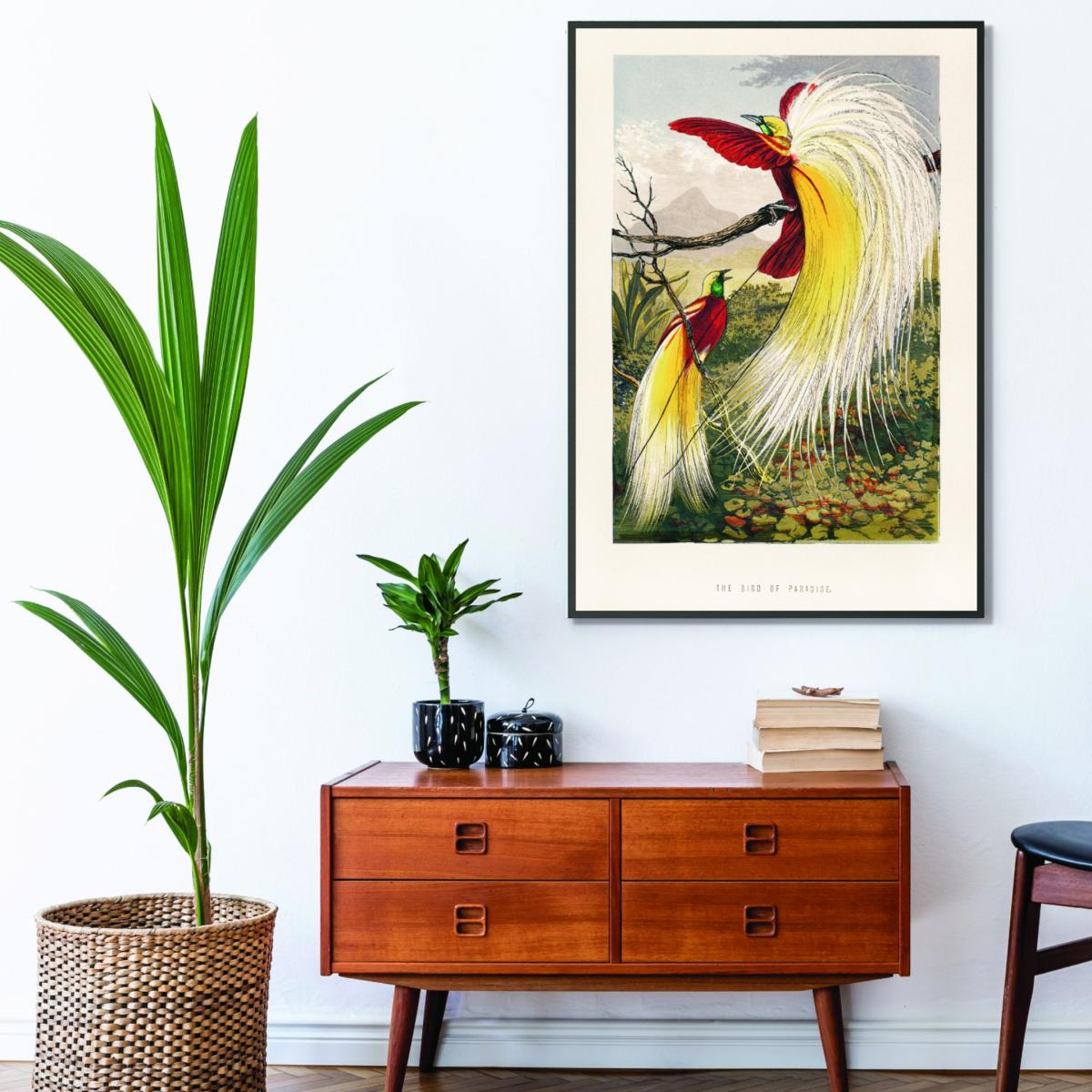Yellow / Orange The Bird Of Paradise A2 420 X 594Mm Stanley Print House – image 3