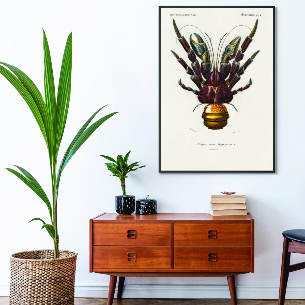 Brown Coconut Crab Medium Stanley Print House – image 3