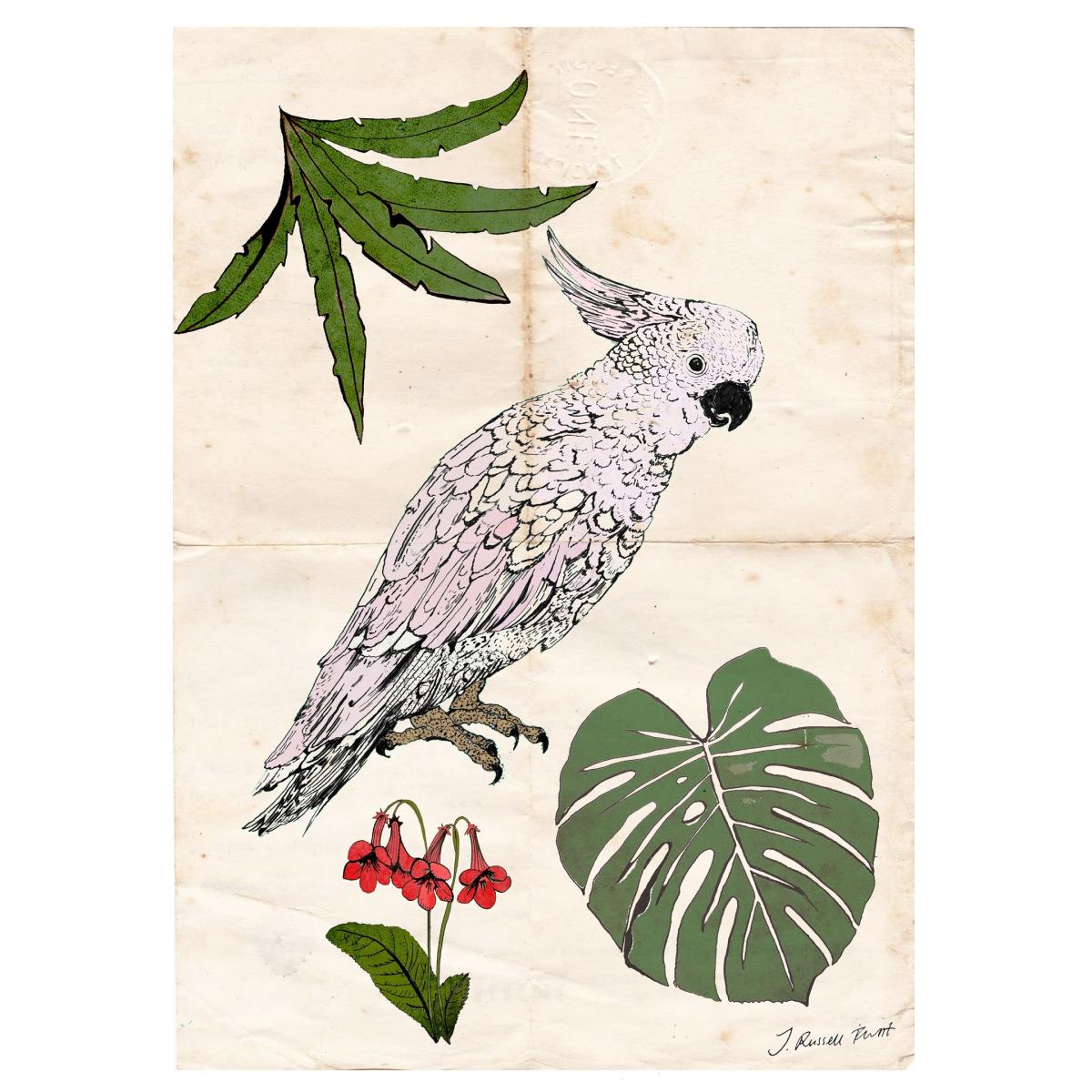 Signed Print / "The Parrot & The Palm" A4 210 X 297Mm Jessica Russell Flint – image 2