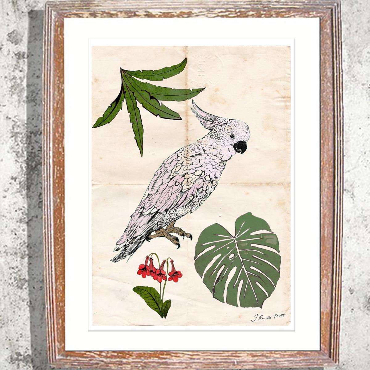 Signed Print / "The Parrot & The Palm" A4 210 X 297Mm Jessica Russell Flint – image 3
