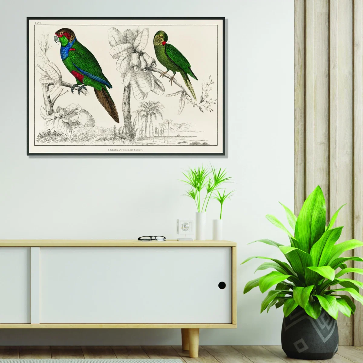 Green Two Parakeets Xxs Stanley Print House – image 3