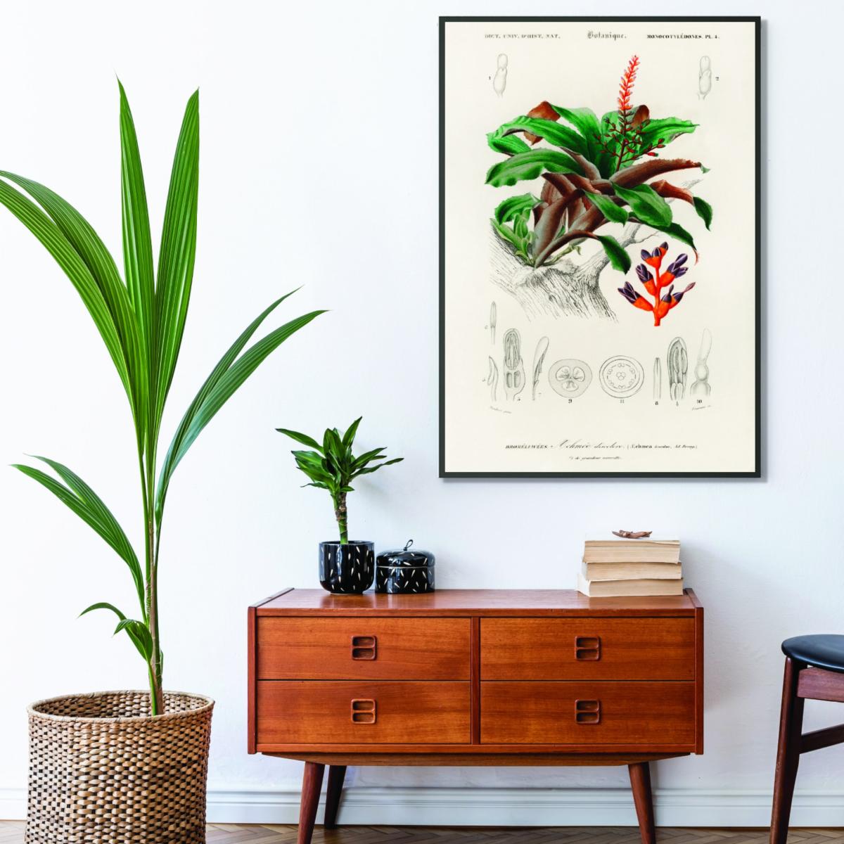 Green Bromeliad A1 594 X 841Mm Stanley Print House – image 3