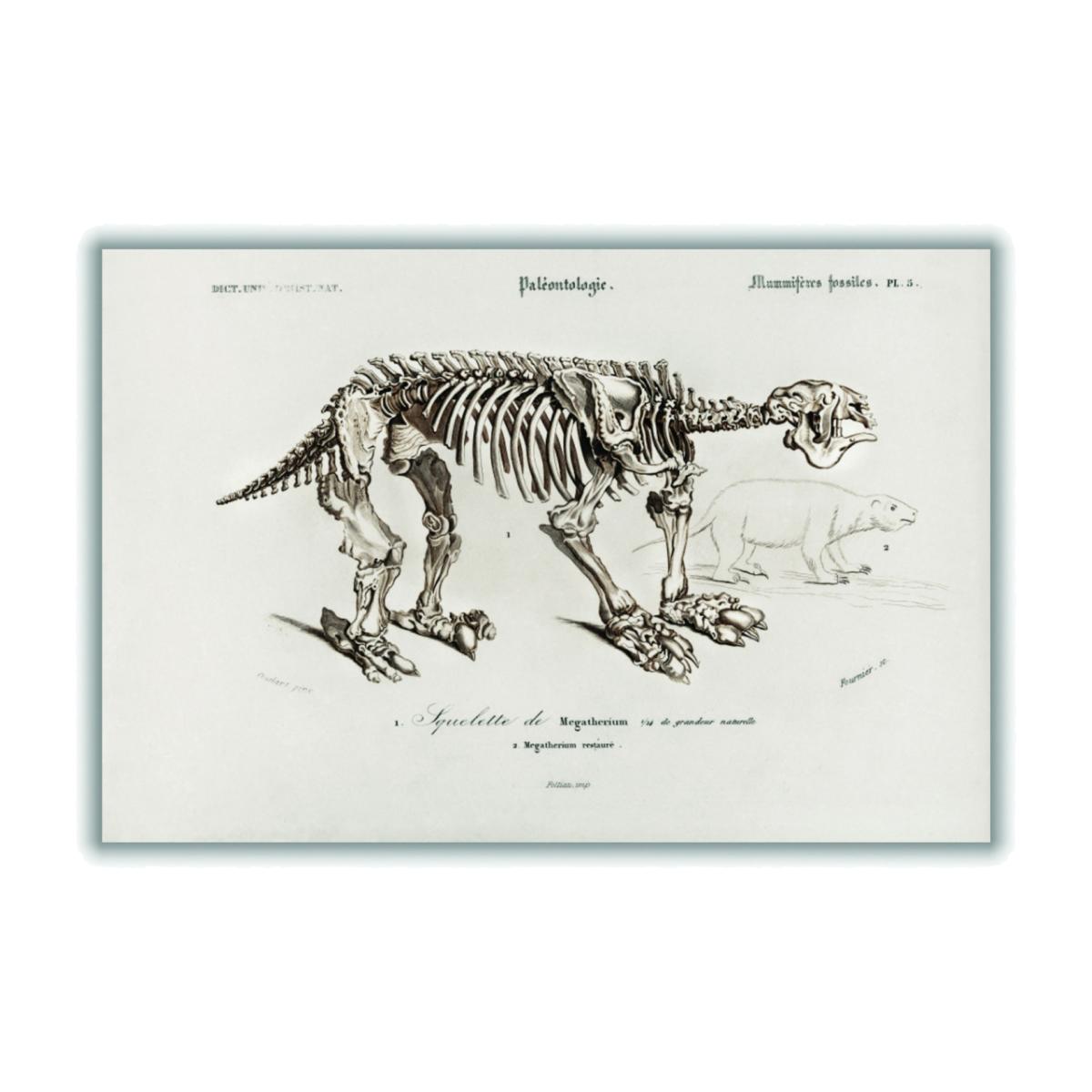 Grey Megatherium Small Stanley Print House – image 1