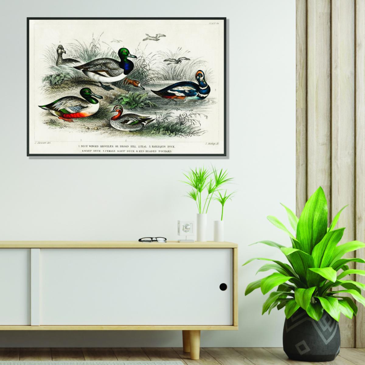 Grey Various Types Of Duck Large Stanley Print House – image 3