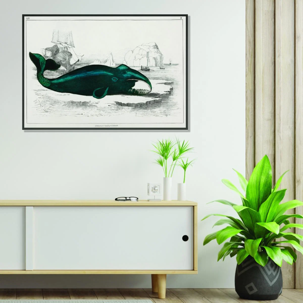 Blue Whale Illustration Xxs Stanley Print House – image 3