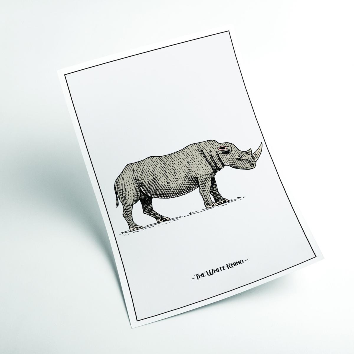 Grey The White Rhino A2 420 X 594Mm Stanley Print House – image 2