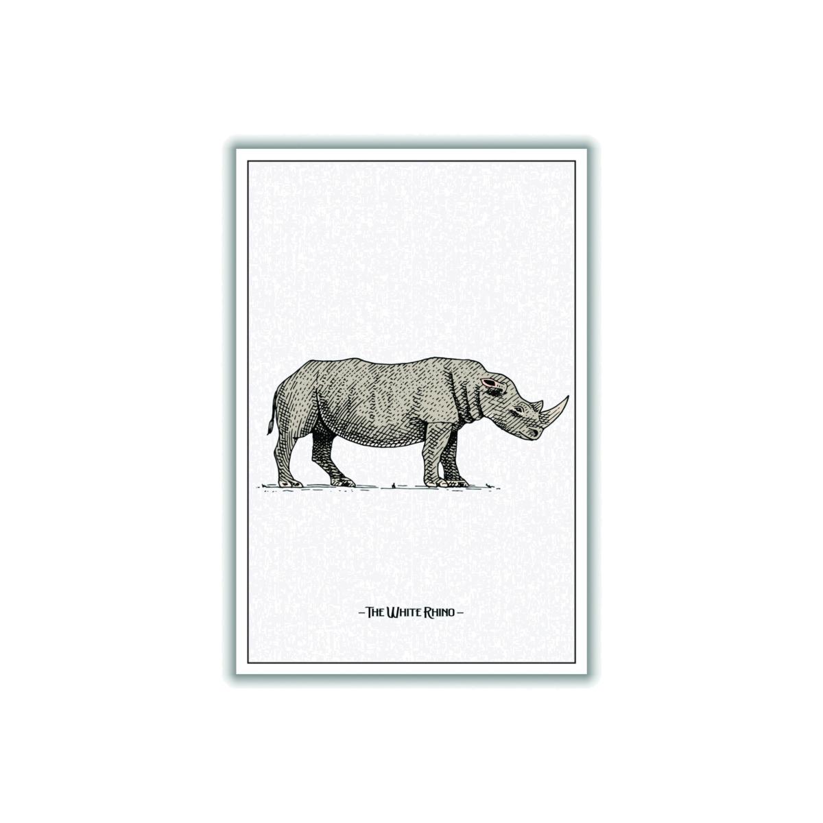 Grey The White Rhino A2 420 X 594Mm Stanley Print House – image 1