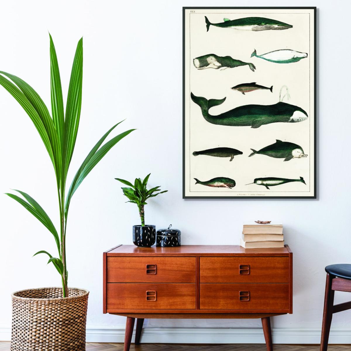 Green Types Of Whales Extra Large Stanley Print House – image 3