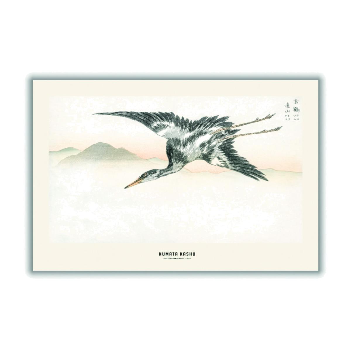 Grey Numata Kashu - Eastern Common Crane A1 594 X 841Mm Stanley Print House – image 1