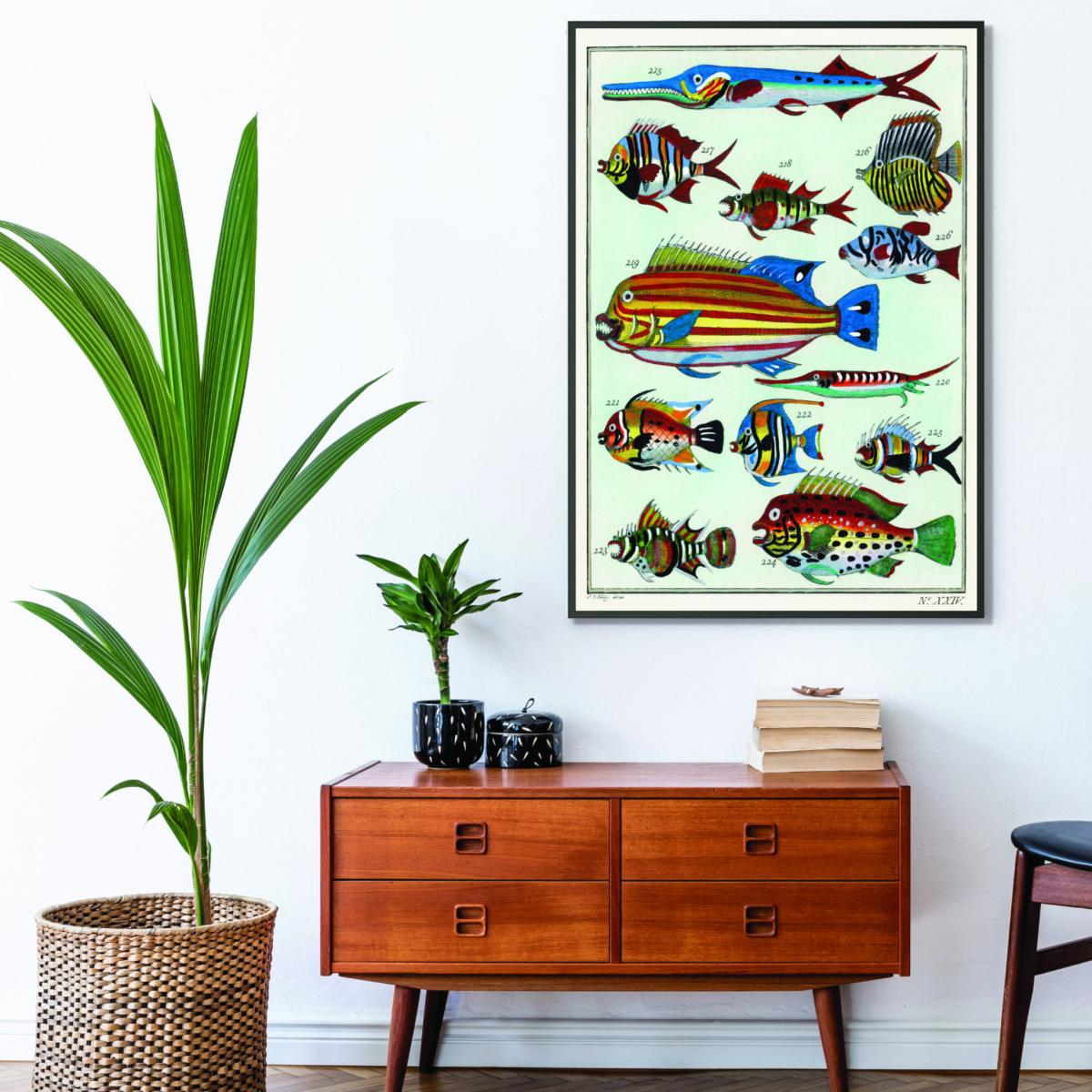 Rare Exotic Fish A2 420 X 594Mm Stanley Print House – image 3