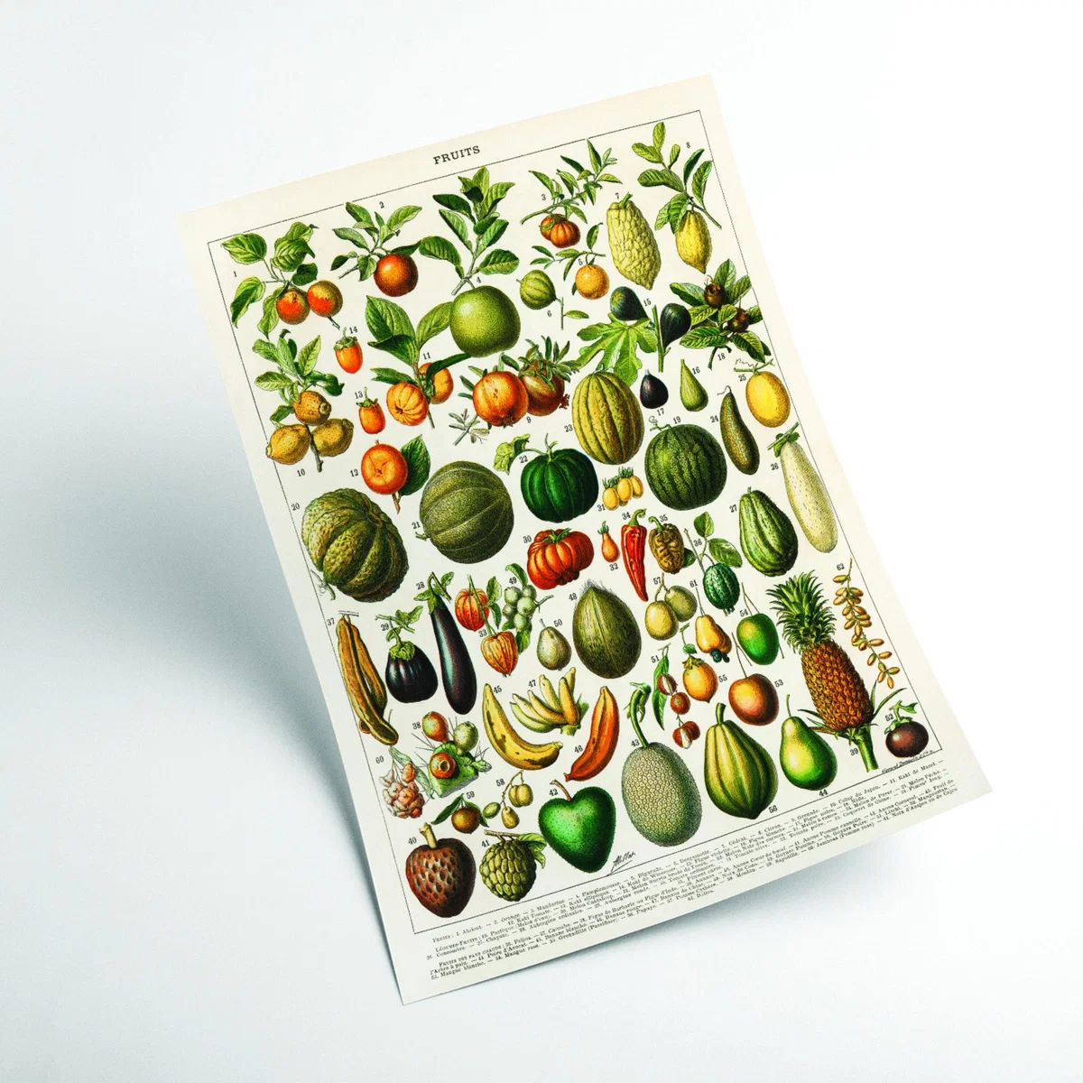Fruits And Vegetables Xxs Stanley Print House – image 2