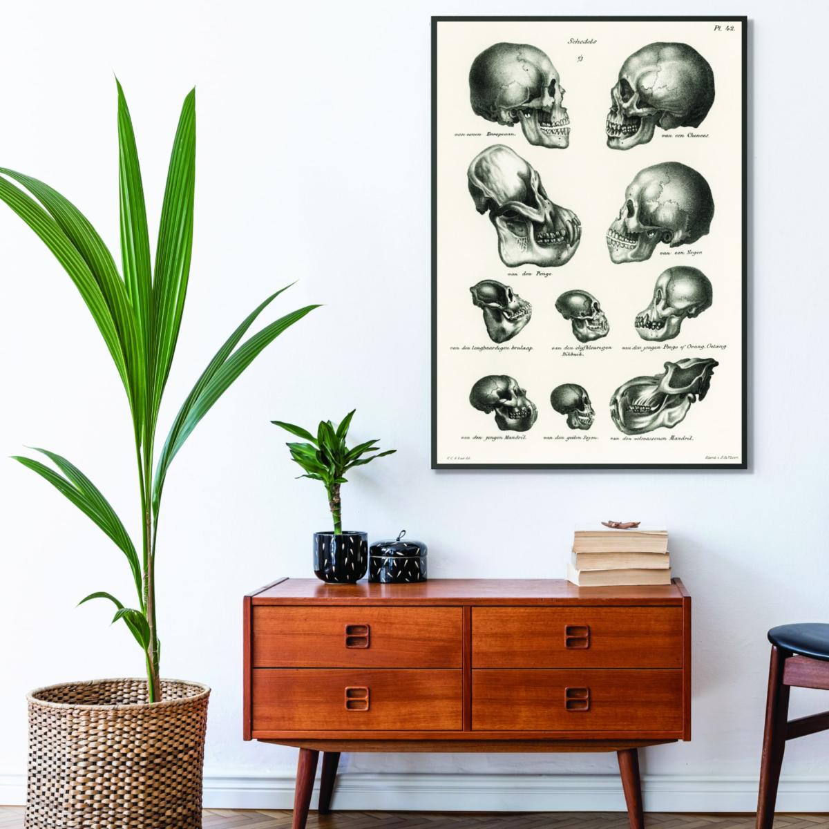 Neutrals Skulls A2 420 X 594Mm Stanley Print House – image 3